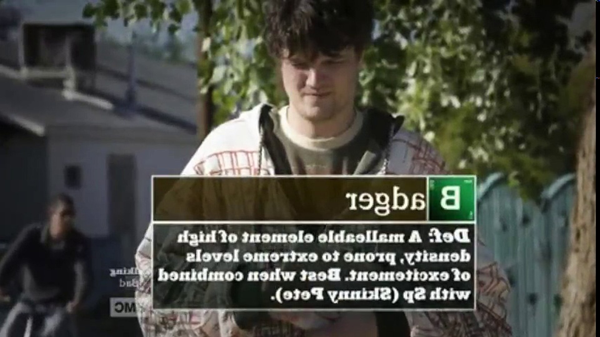 Badger Breaking Bad Meme