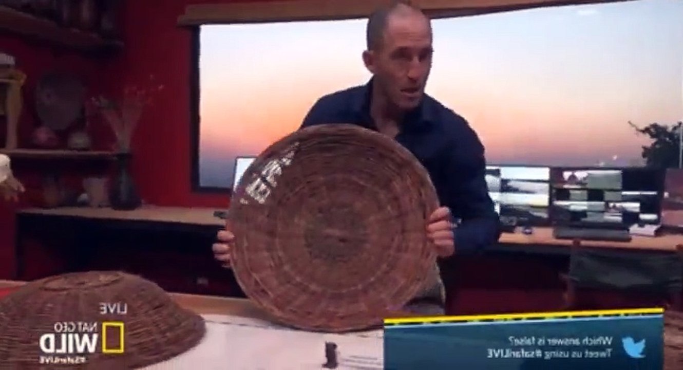 Safari Live Migration S01  E08 S 1, E 8 - Part 02