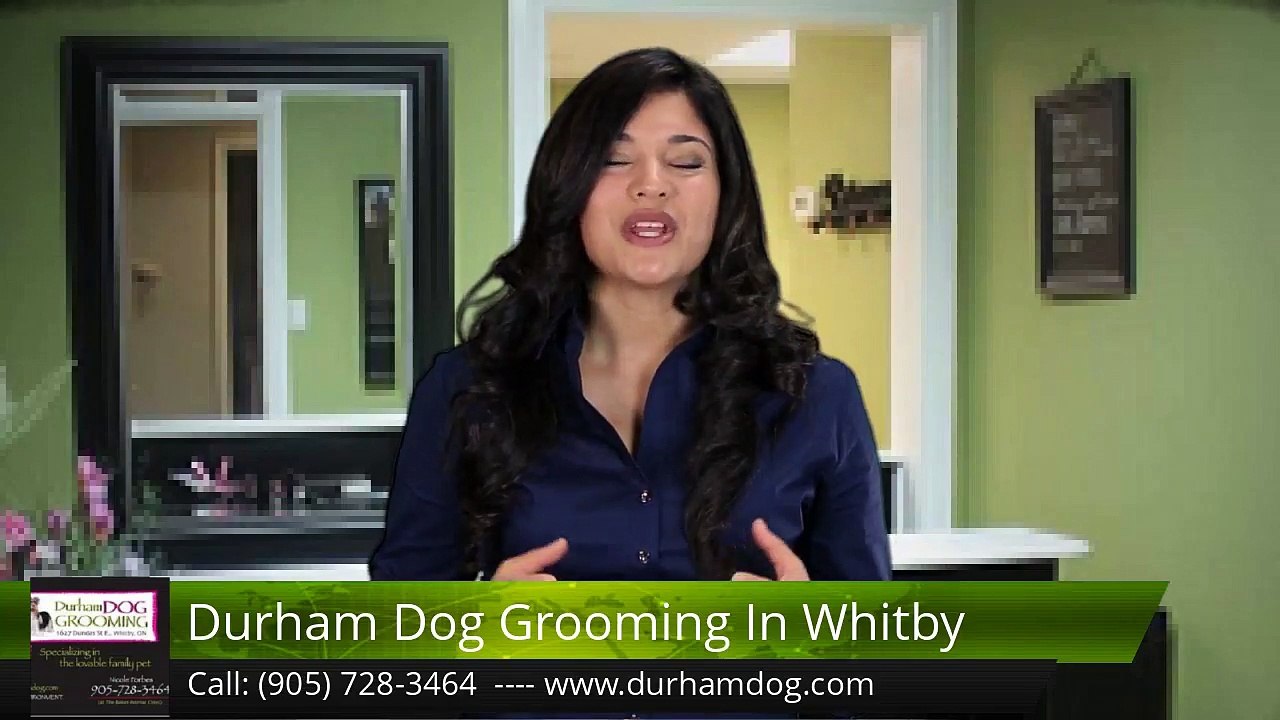Durham Dog Grooming WhitbyIncredible5 Star Review by Sashanna Scarlette