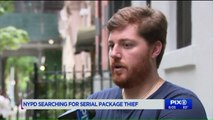 Serial Package Thief Strikes 15 Times in Manhattan