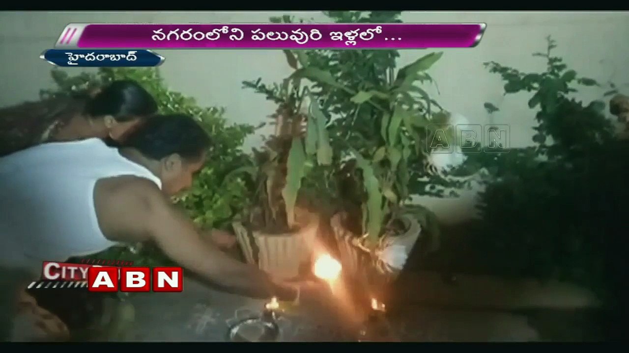 Brahma Kamalam flower blooms in Hyderabad