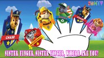 Paw Patrol Team Finger Family Song | Paw Patrol Finger Family Nursery Rhyme Lyrics | SUNTV