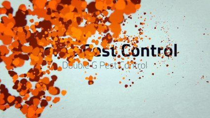 Home Pest Control Hannibal Missouri