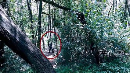 Dark Ghost Shape On Road Caught On Camera | Really Scary