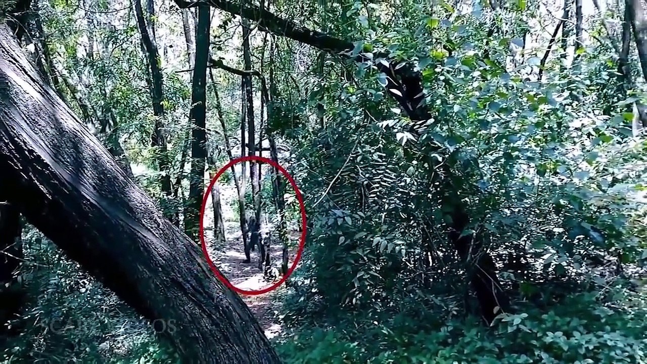 Dark Ghost Shape On Road Caught On Camera | Really Scary