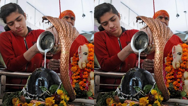 Nag Panchami: सावन में नागपंचमी पर ऐसे करें कालसर्प दोष निवारण और उपाय | Boldsky