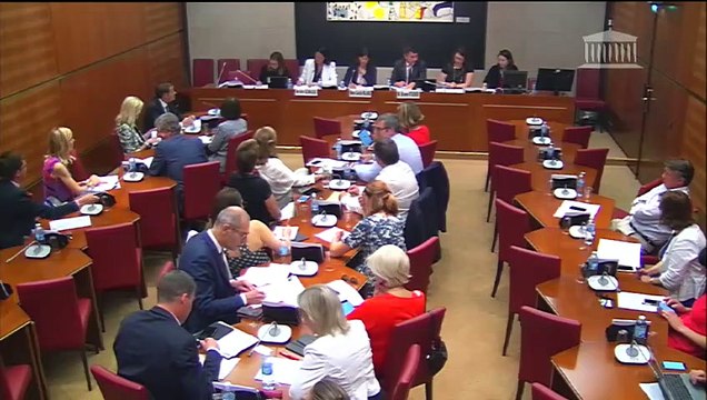 Commission des affaires culturelles : Communication de la mission flash sur les directeurs d’école ; Bilan de l’activité de la commission des Affaires culturelles et de l’Éducation (2017-2018) - Mercredi 1 août 2018