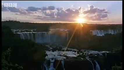 The Mighty Amazon & River Dolphins Wild South America BBC