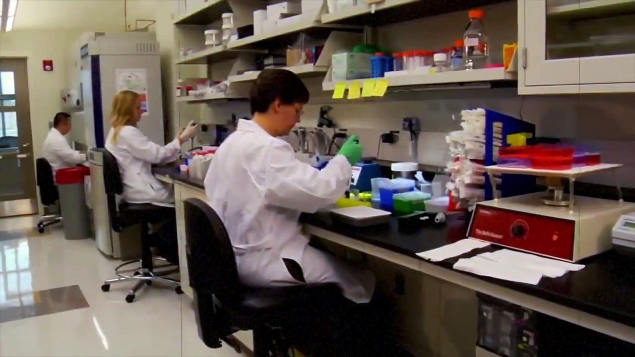 Alpha Titan Testo - Easy Way To Build Muscle