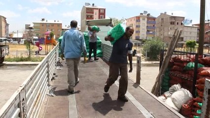 Ekmeklerini Kömürden Çıkarıyorlar