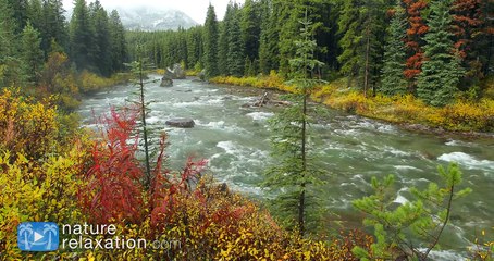 4K Screensaver: Snowy Fall River (NO MUSIC) Nature Relaxation Static Video 1HR