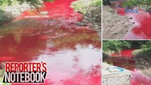 Reporter's Notebook: Biñan River sa Laguna, bakit naging kulay pula