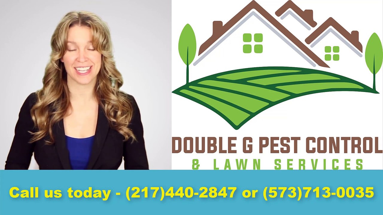 Spider Pest Control Hannibal Missouri
