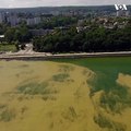 سواحل دریای بالتیک در امتداد کشور پولند با نوعی باکتری مضر آلوده شده است.#voasocial