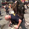 در بخش گزمه سوارۀ پولیس نیویارک بیش از۵۰ رأس اسب وجود دارد که از سال ۱۸۵۸ میلادی تا اکنون در خدمت دیپارتمنت پولیس است.#voasocial