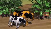 colors Cow Finger Family Collection Finger Family Songs Daddy Finger Nursery Rhymes