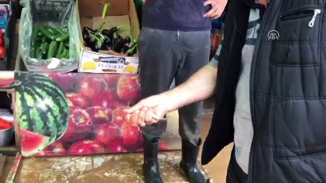 Şiddetli yağış (2) - RİZE