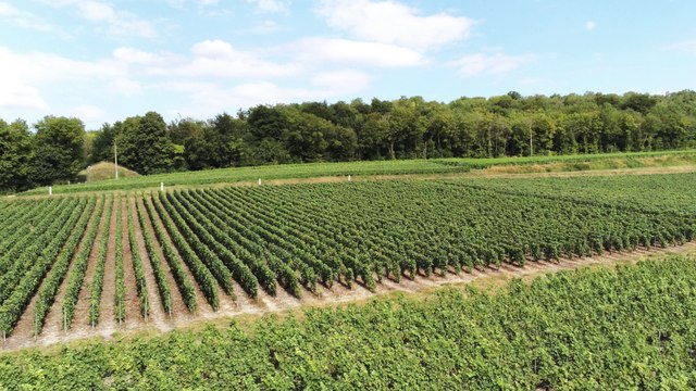 Mémorial des batailles de la Marne 14-18 DORMANS
