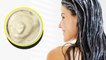 Mayonnaise for Hair Treatment: आपके बालों को ऐसे संवारेगा मेयोनीज | Boldsky