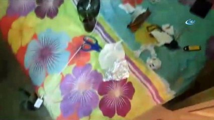 İstanbul polisinden Zeytinburnu'nda asayiş uygulaması