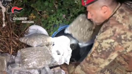 Ndrangheta, 45 arresti fra il sud e il nord dello Stivale. Il ruolo delle donne tra gli arrestati