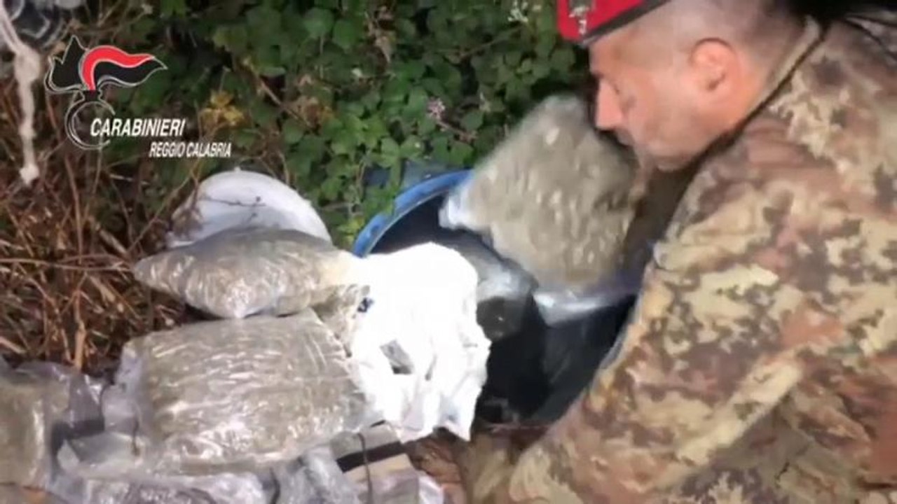 Ndrangheta, 45 arresti fra il sud e il nord dello Stivale. Il ruolo delle donne tra gli arrestati