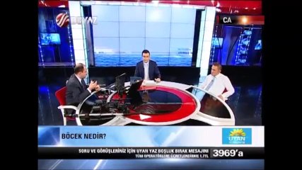 BÖCEK ARAMA - BÖCEK TARAMA