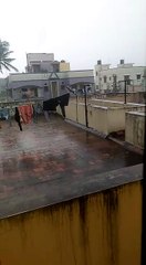 சென்னையில் பெரும்பாலான இடங்களில் மழை-வீடியோ