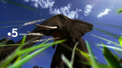 [BA] Royaumes secrets - 08/08/2018