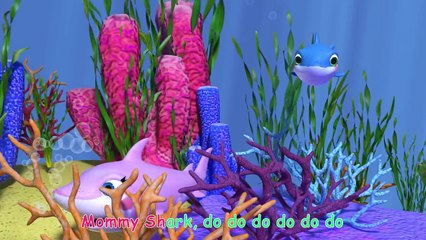 Baby Shark 1: Hide and Seek | +More compilation Nursery Rhymes & Kids Songs for Children & Animal Songs
