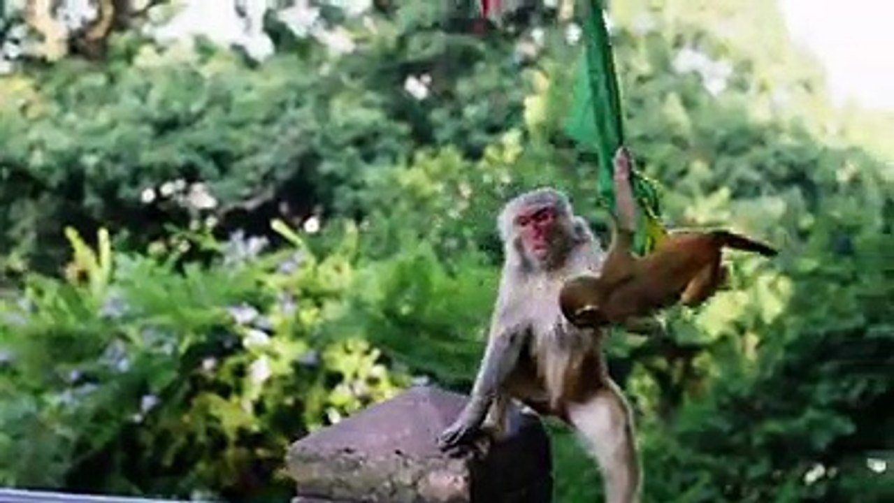 Adventures in Nepal