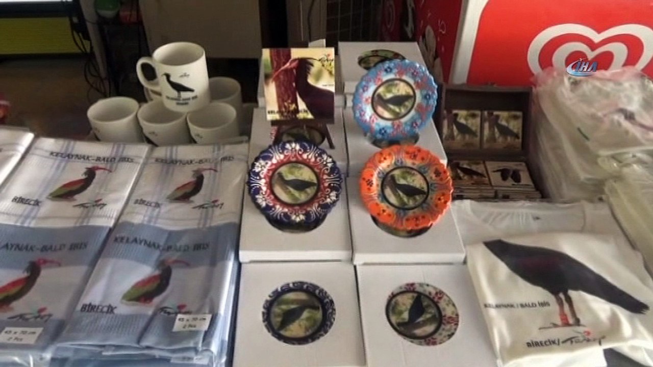 - Kelaynaklar için yeni yaşam alanları oluşturulacak