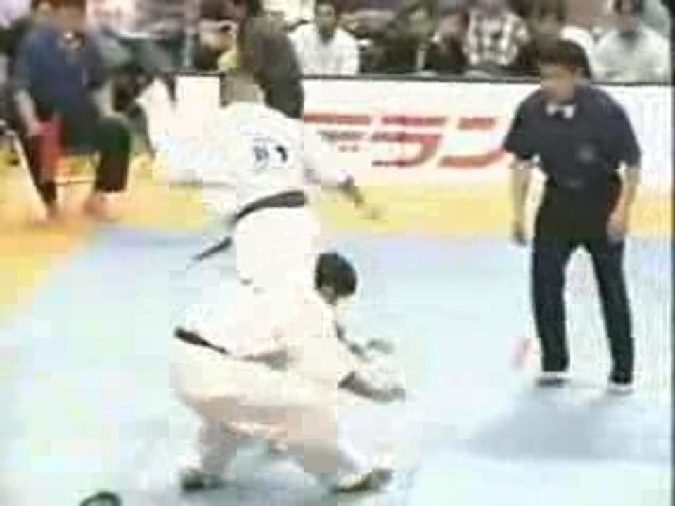 Mawashi Geri Knock Out