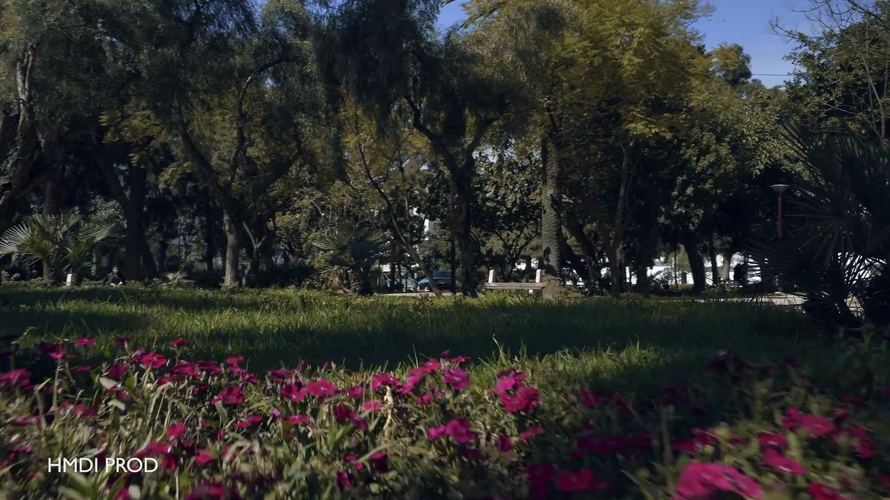 Ihab Amir - PROMO (Exclusive _4K) |  إيهاب أمير - برومو