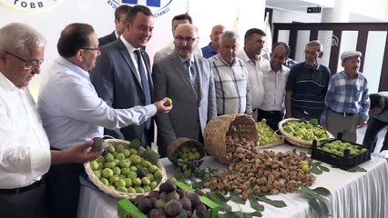 Sezonun ilk kuru inciri kilogramı 80 liradan satıldı