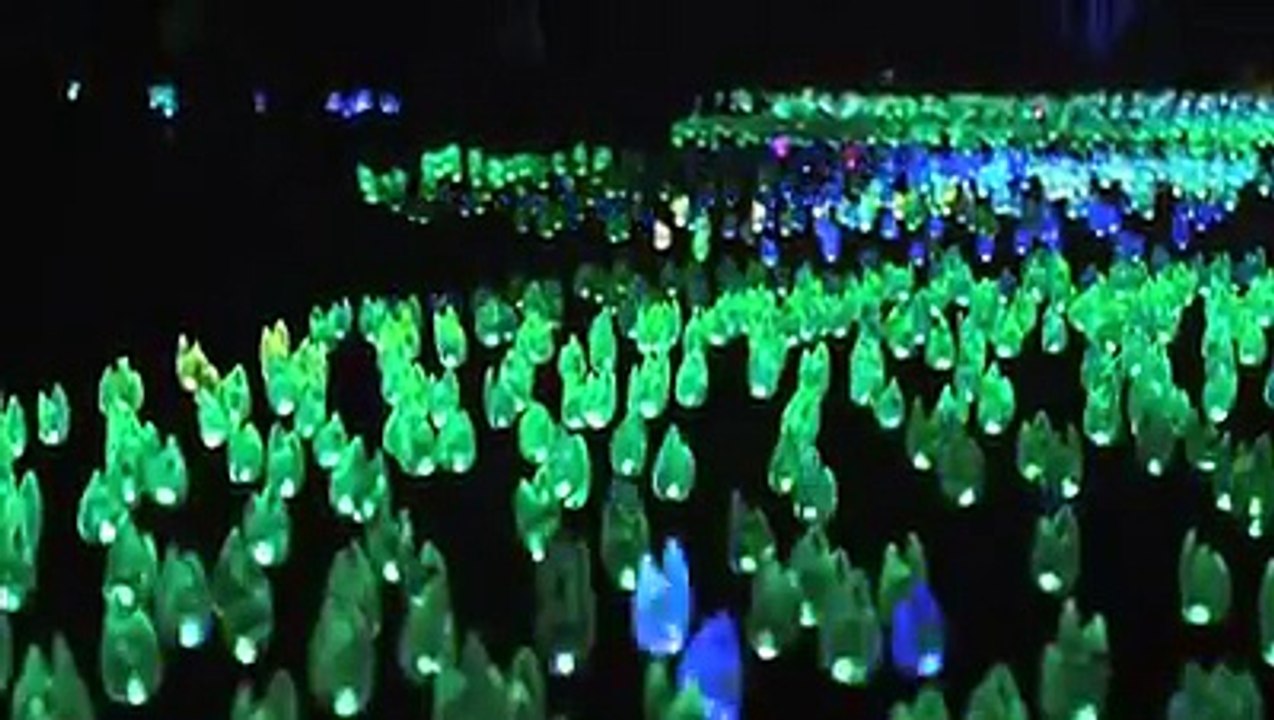 Un jardín botánico en Los Angeles se ha convertido en un bosque encantado de luces para deleite de niños y adultos en estas festividades.