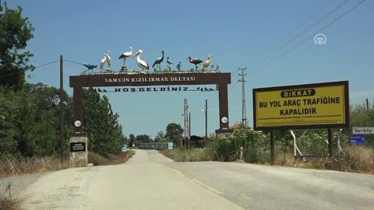 Kızılırmak Deltası Kuş Cenneti Ziyaretçilerine Doğal Yaşam Vaadediyor (2)