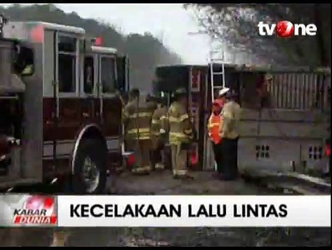 Truk Terguling, Ratusan Babi Penuhi Jalanan