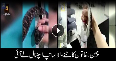 Woman brings snake into hospital after it bites her in China