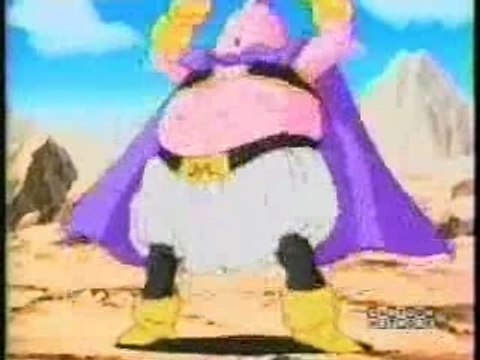 Majin vegeta vs majin buu