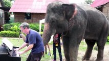 12 Bar Blues - Piano Duet with Peter the Elephant - Thailand
