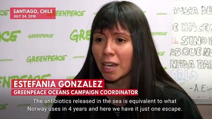 Environmentalist Warns Of Dangerous Effects Of Red Tides