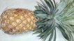 how to make pineapple murabba recipe || Morbo ||মোরব্বা || confiture || conserve || jell || আনারসের মোরব্বা || Pineapple Morbo