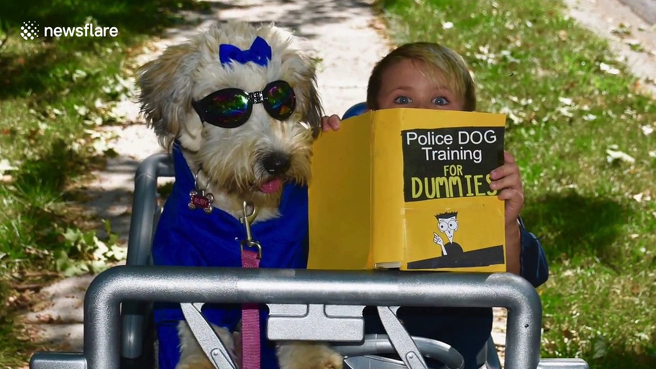 Heartwarming video shows Oliver, 6, training his dog to be a K-9