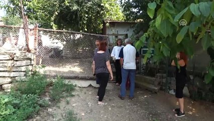 Sokak Hayvanları Öksüz Kaldı