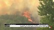 فرق الإطفاء تواصل مكافحة حرائق الغابات في كاليفورنيا