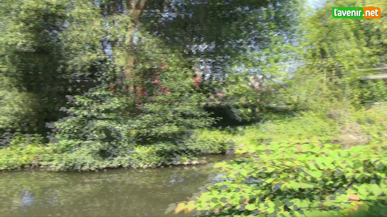 Dixième année pour le safari carolo