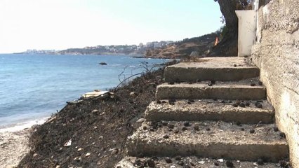 Angehörige klagen gegen Verantwortliche nach Feuer in Griechenland