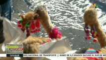Bolivia celebra el inicio del mes de la Pachamama