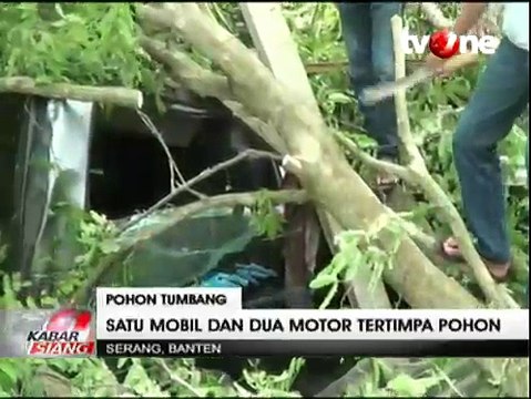 Hujan Deras, Satu Mobil dan Dua Motor di Serang Tertimpa Pohon